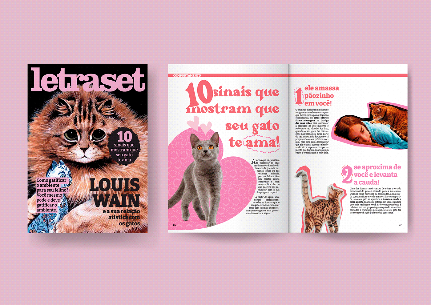 design design gráfico diagramação editorial graphic design  InDesign Layout letraset magazine revista