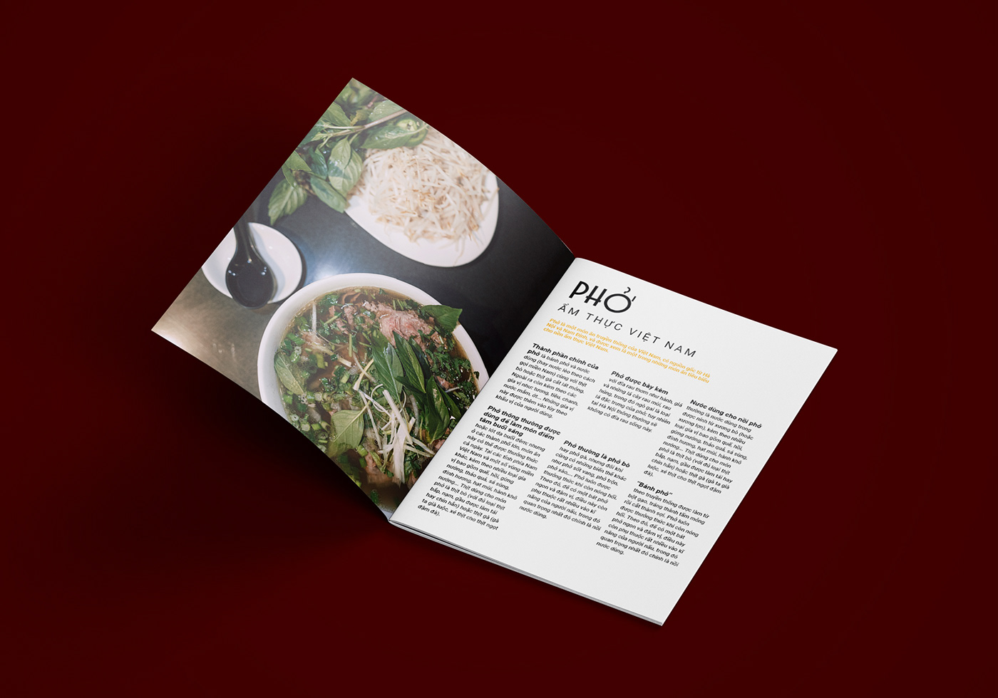 brochure design InDesign Layout magazine photoshop vietnam culture editorial