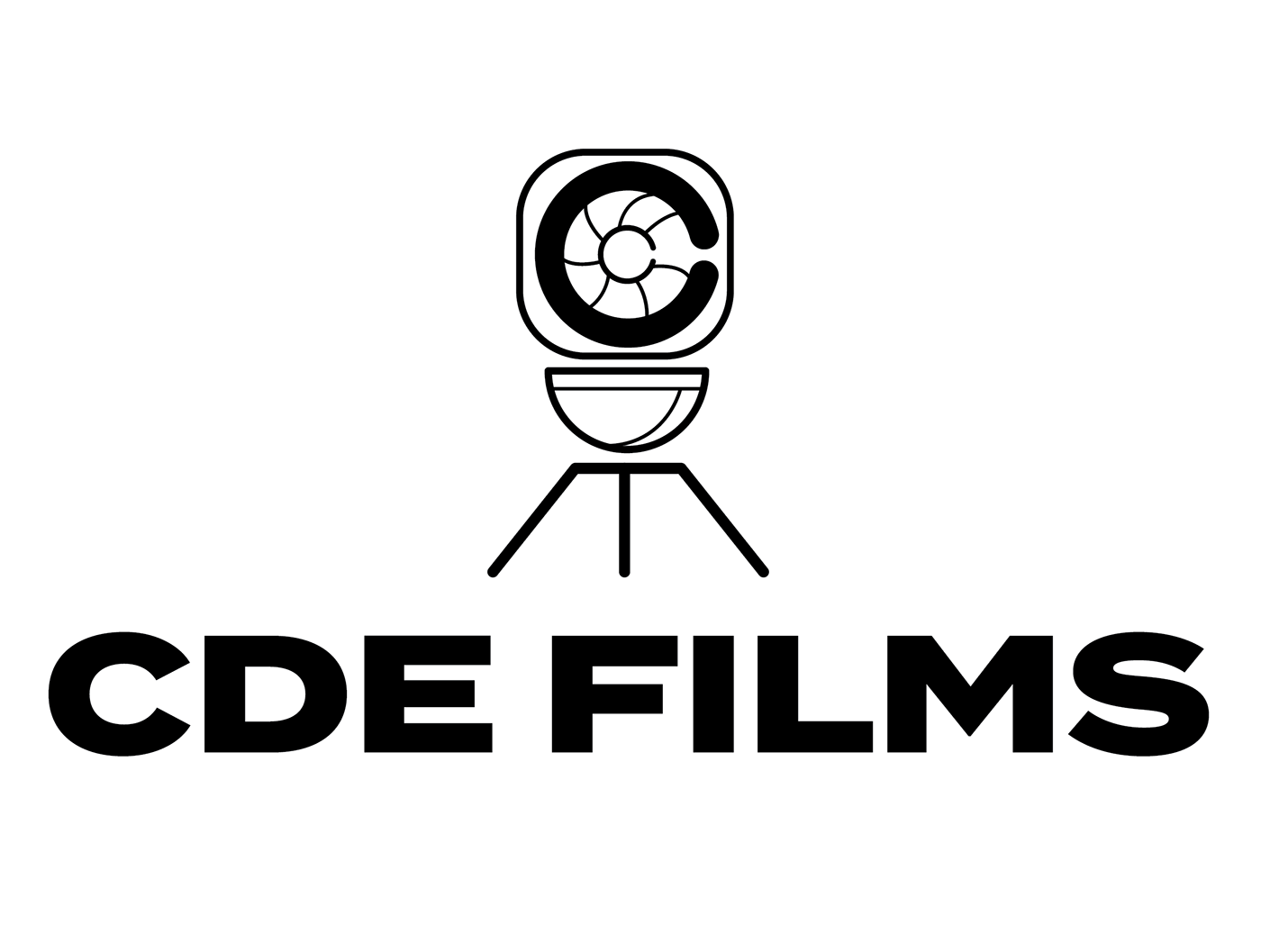 Company Branding Filmmaker Game Developer Logo Design logofolio