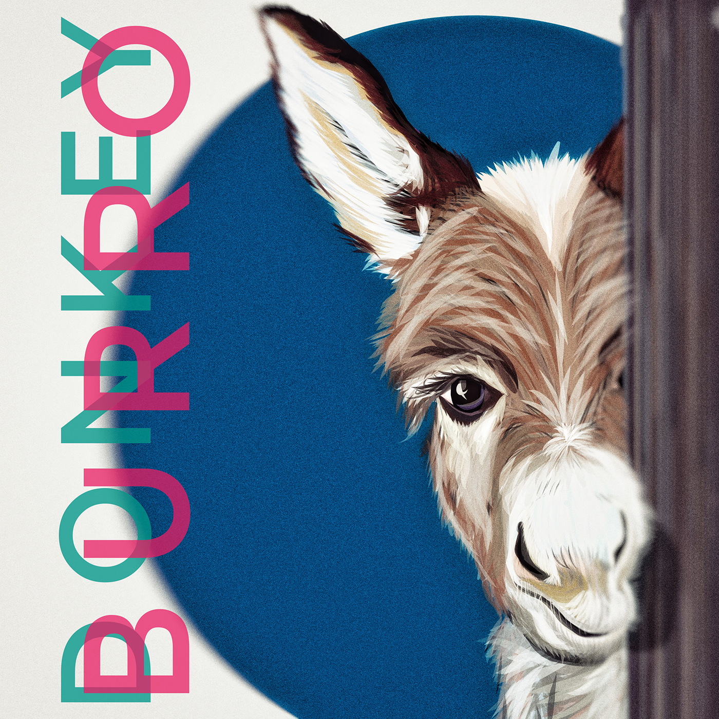 olbap olbap design olbapdesign donkey ILLUSTRATION  farm animals Digital Art  graphic design  adobe draw Burro