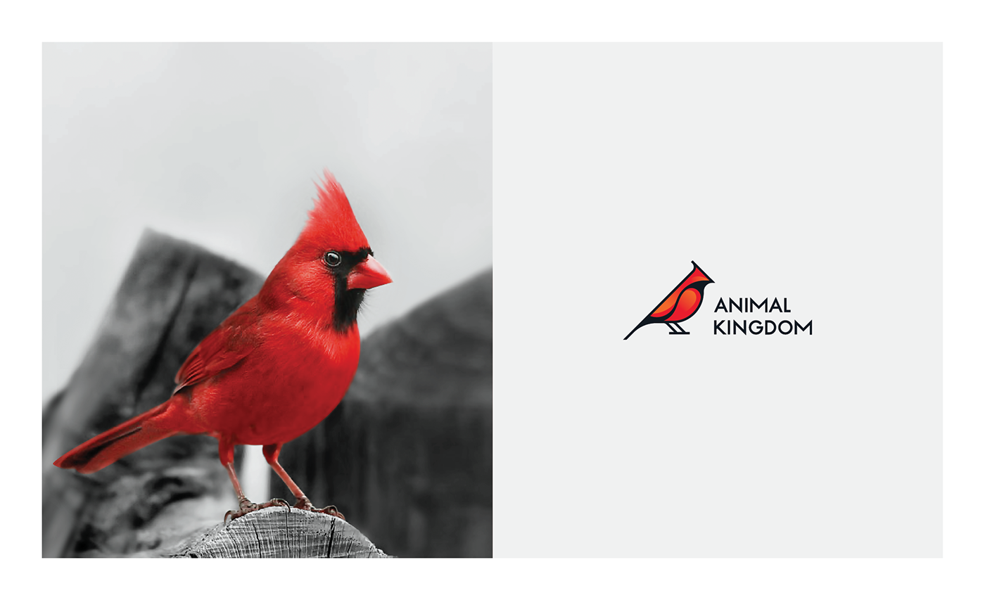 logodesign branding  petshop Birdshop cardinal bird