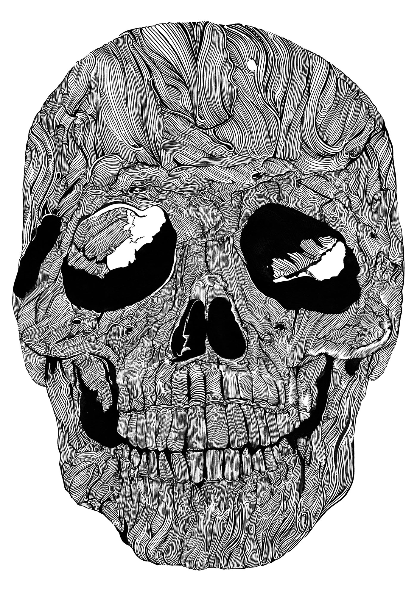 ink skull Cranium linework line drawing dip pen ILLUSTRATION  sam sephton black and white