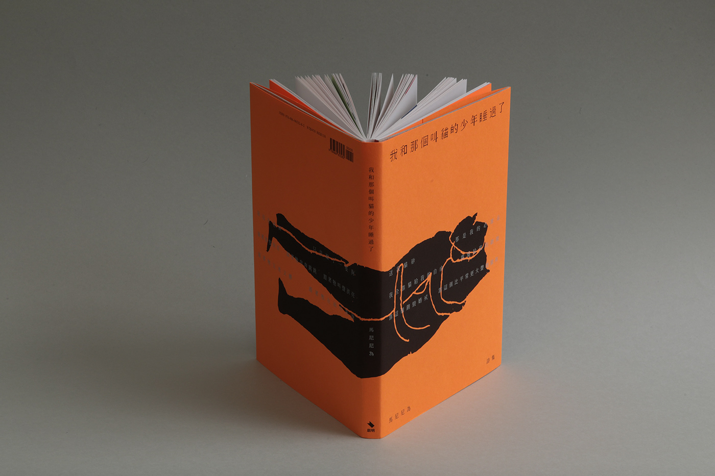 book book design editorial design  orange graphic design  Book Binding Visual Direction Cat poem book