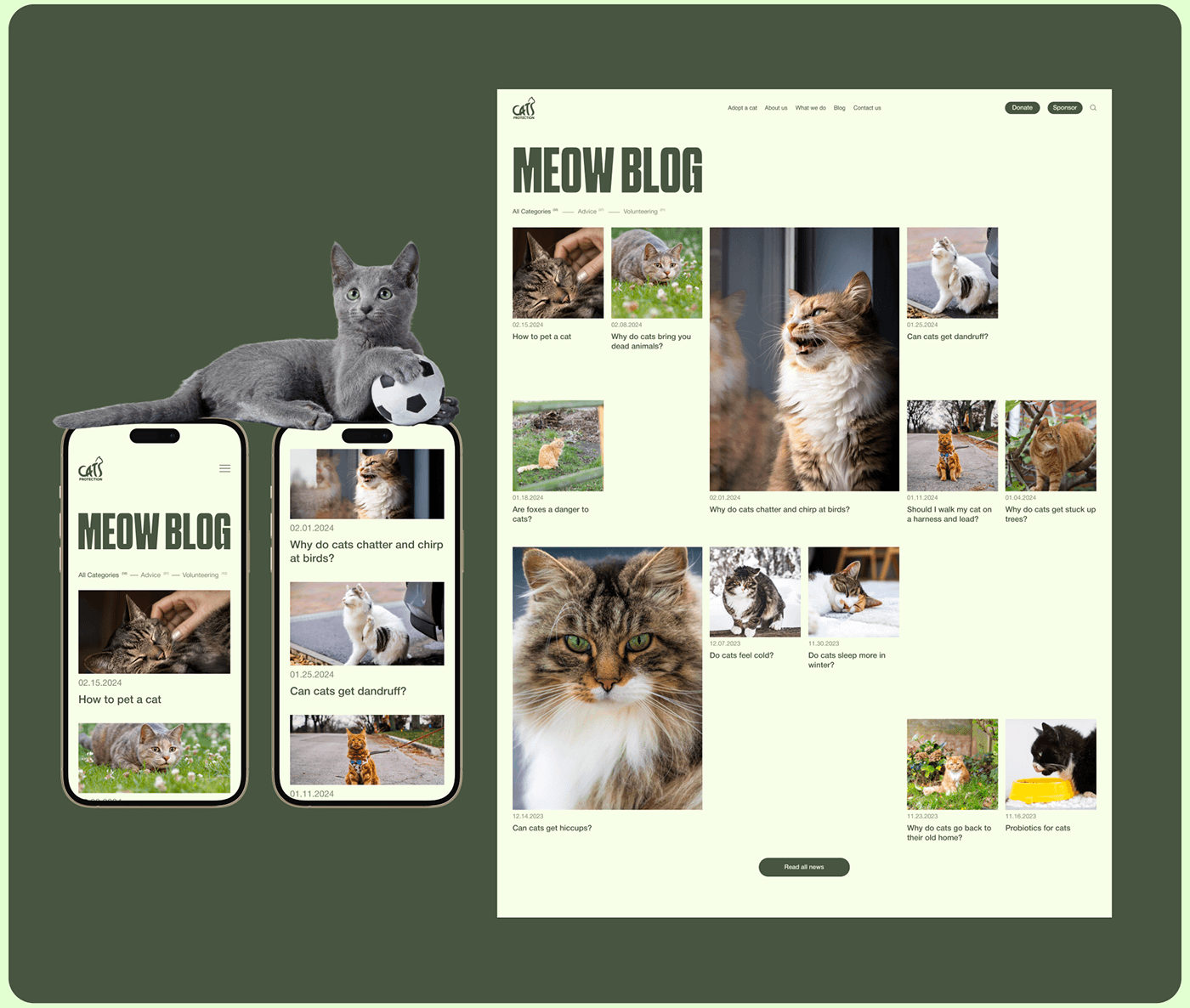 Corporate Design Figma animal shelter pets Cat design uprock ux/ui Web Design 