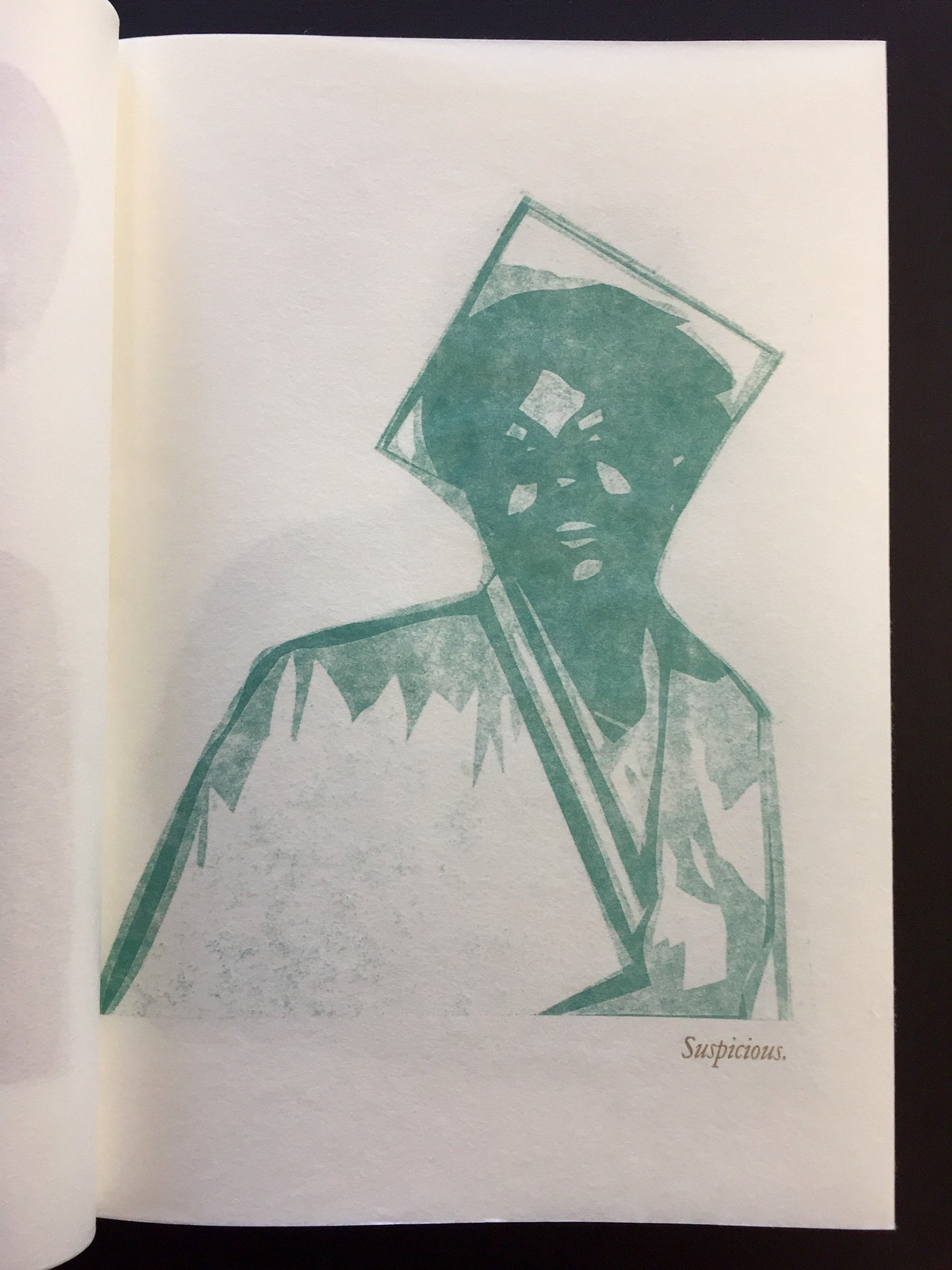 letterpress printmaking Photography  portrait artist's book handmade african american art racism racial profiling
