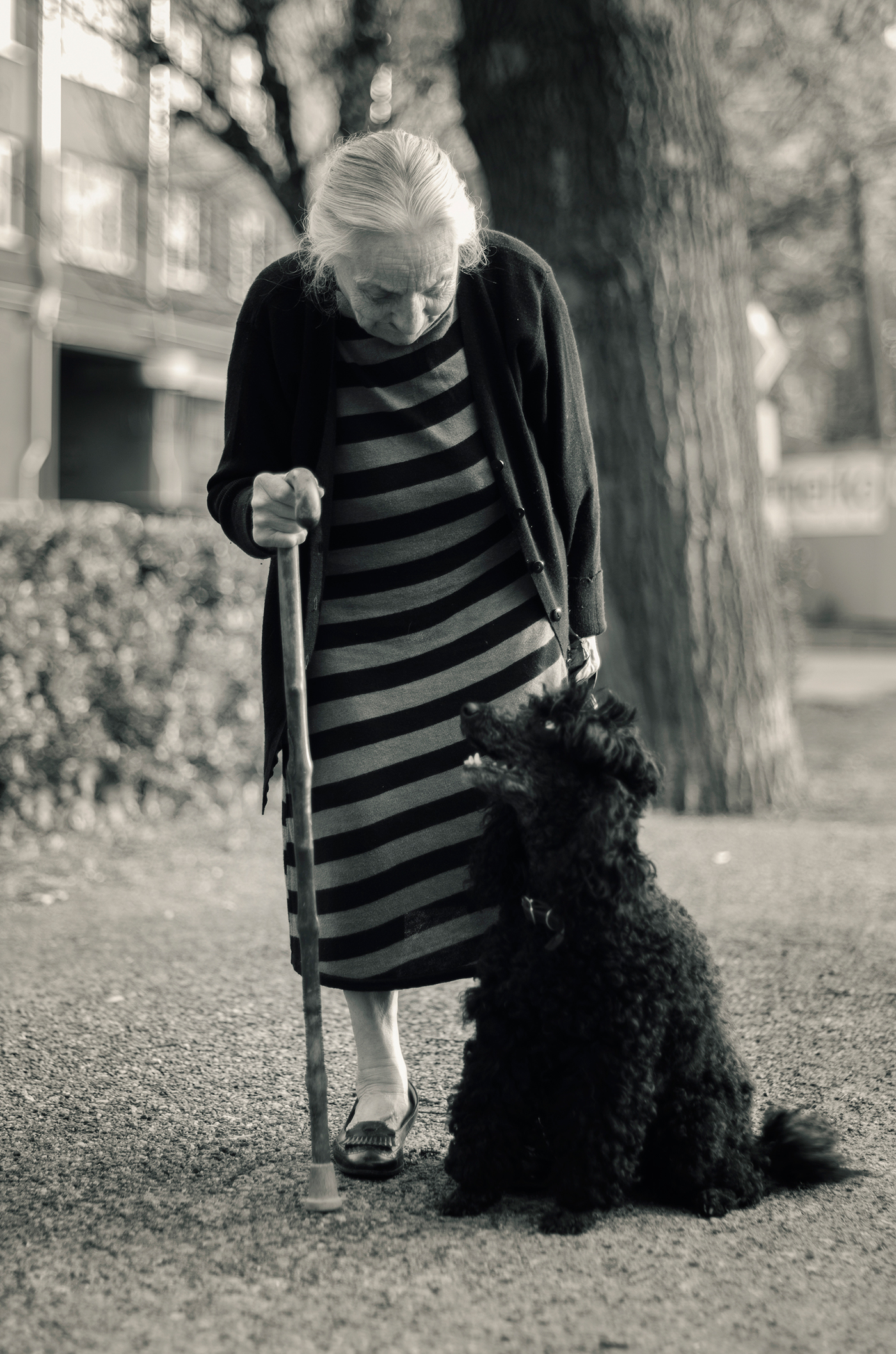 Adobe Portfolio resistance cosmosys old lady dog portrait Tallinn black and white black dog inspire