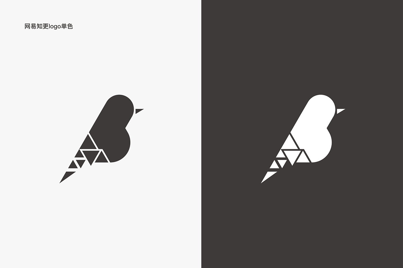 branding  VI logo visual identity net-ease graphic design brand art direction 