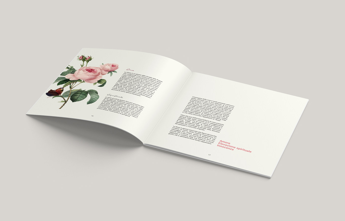 graphic design  Catalogue Tuum iusve branding  progettazione