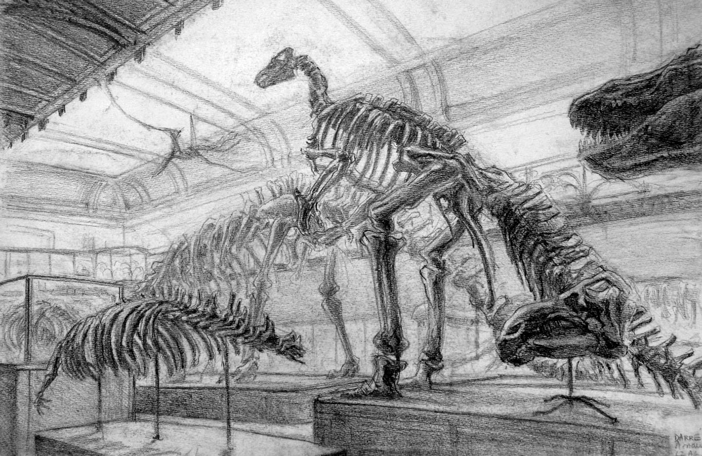 drawings paleontology samourai animals animal imagination