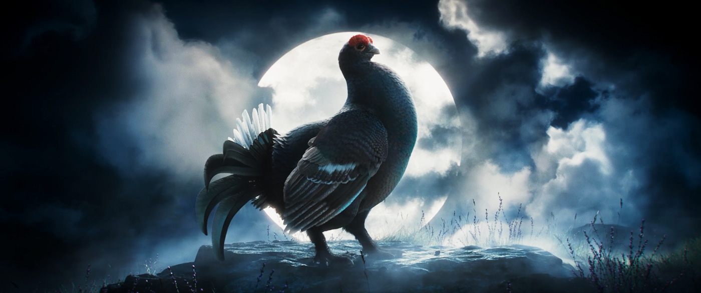 3D 3d animation chicken ads Advertising 