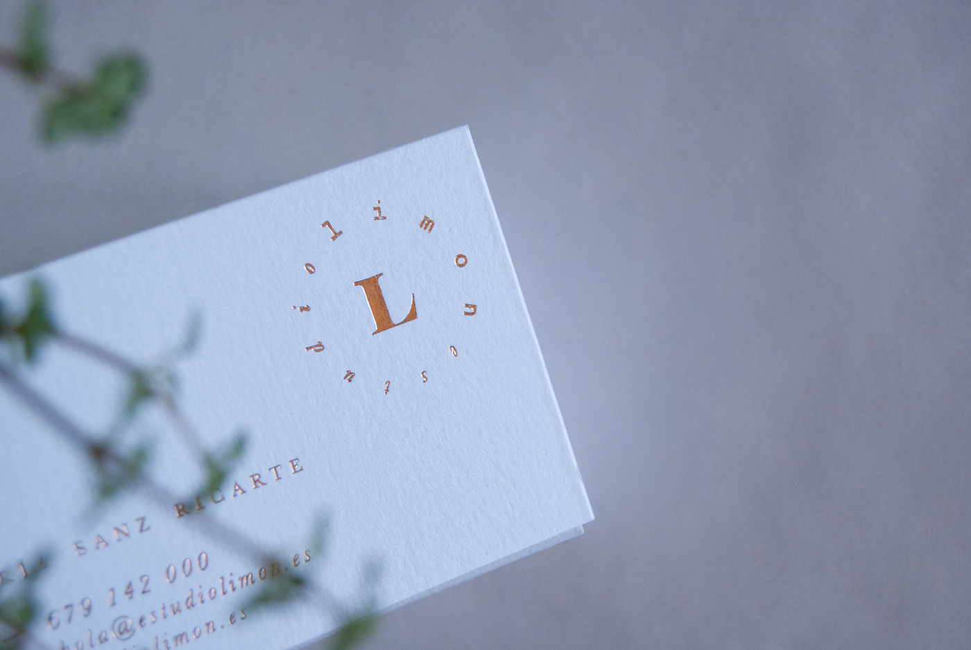 limon studio graphic design  identity gold foil stamp business card brochure