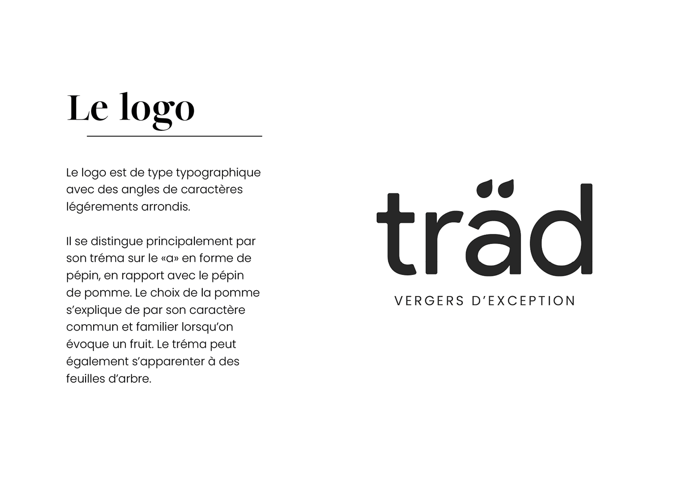 identité visuelle brand identity Graphic Designer adobe illustrator branding  Logo Design lesbriefscreatifs