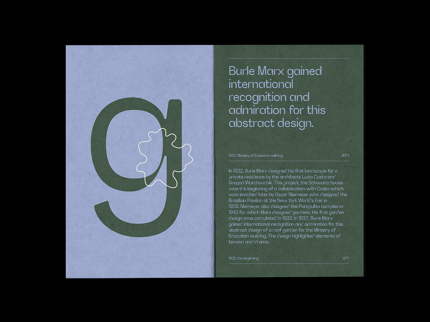 book Booklet ILLUSTRATION  Layout print specimen type type design Typeface typography  