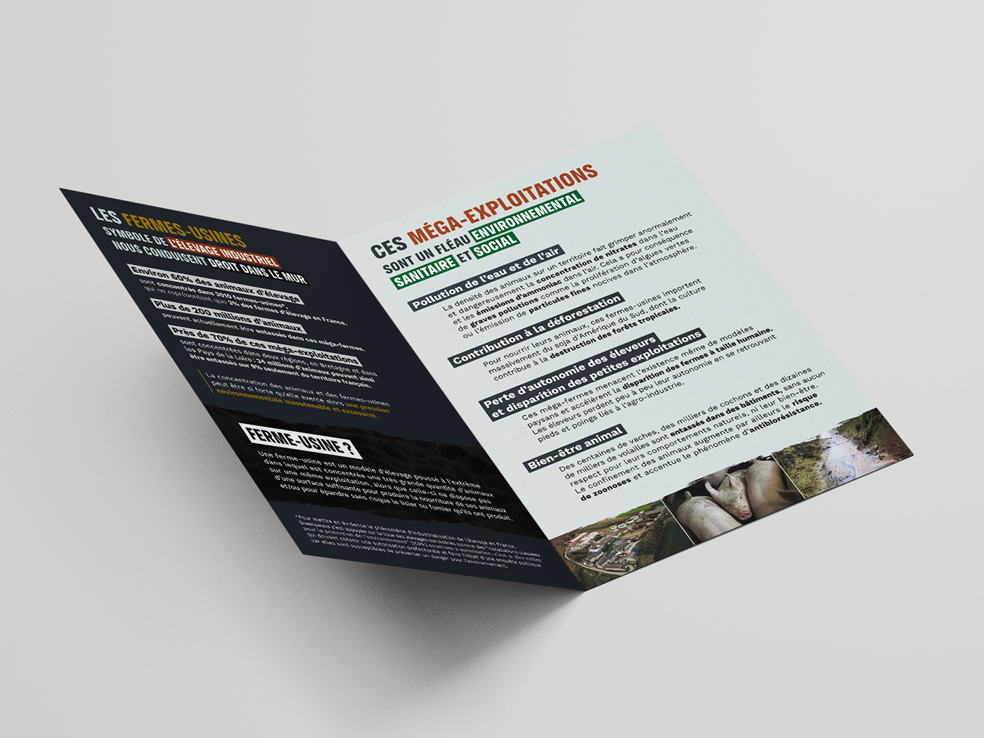 brochure Greenpeace Nature environment print agriculture Ecology graphic design  breeding environmental