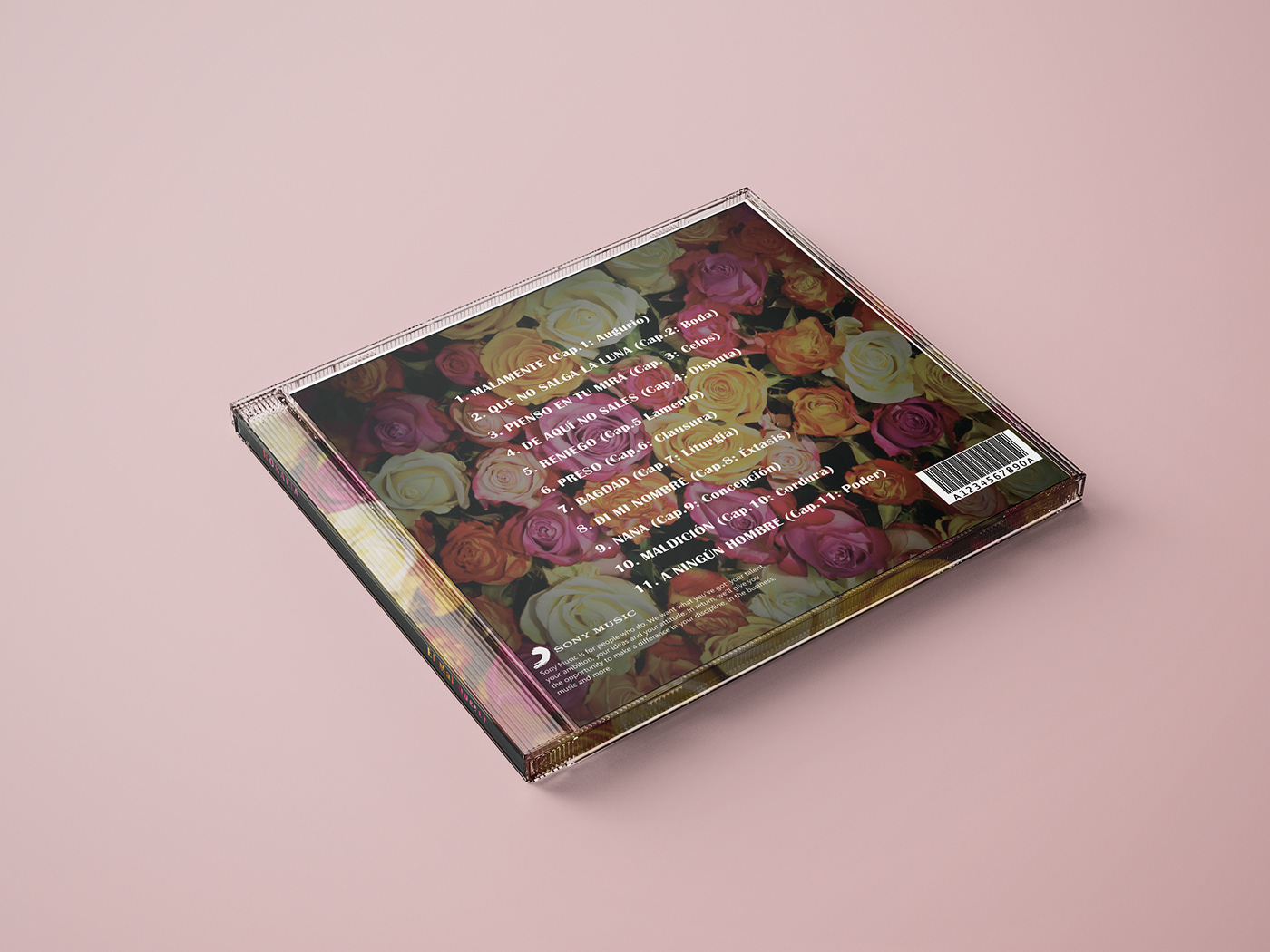 album cover cd InDesign Layout music print product design  typography  