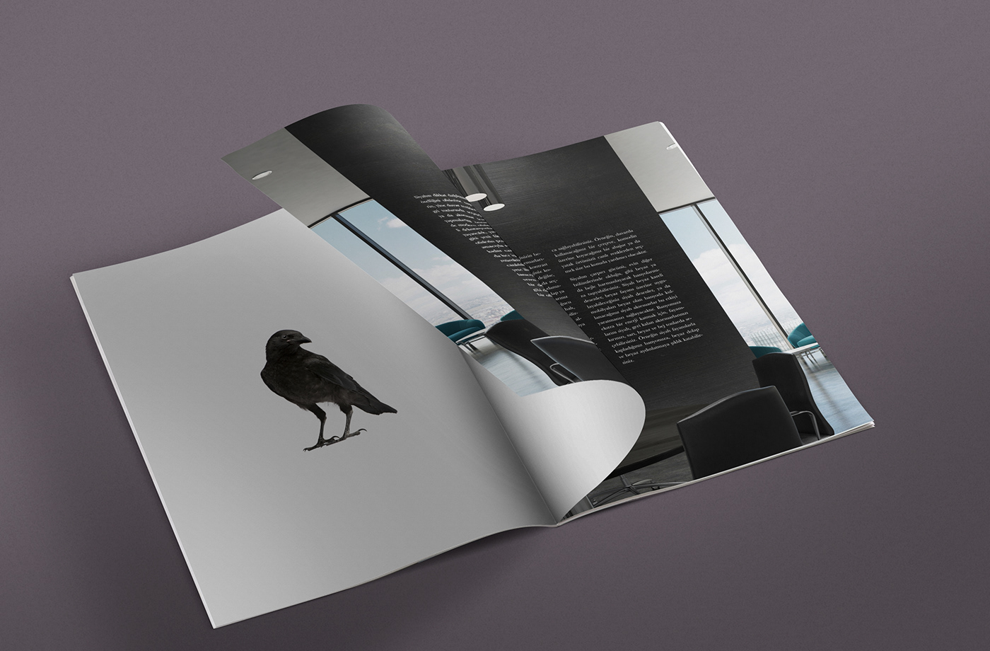 book magazine brochure editorial editorial design 