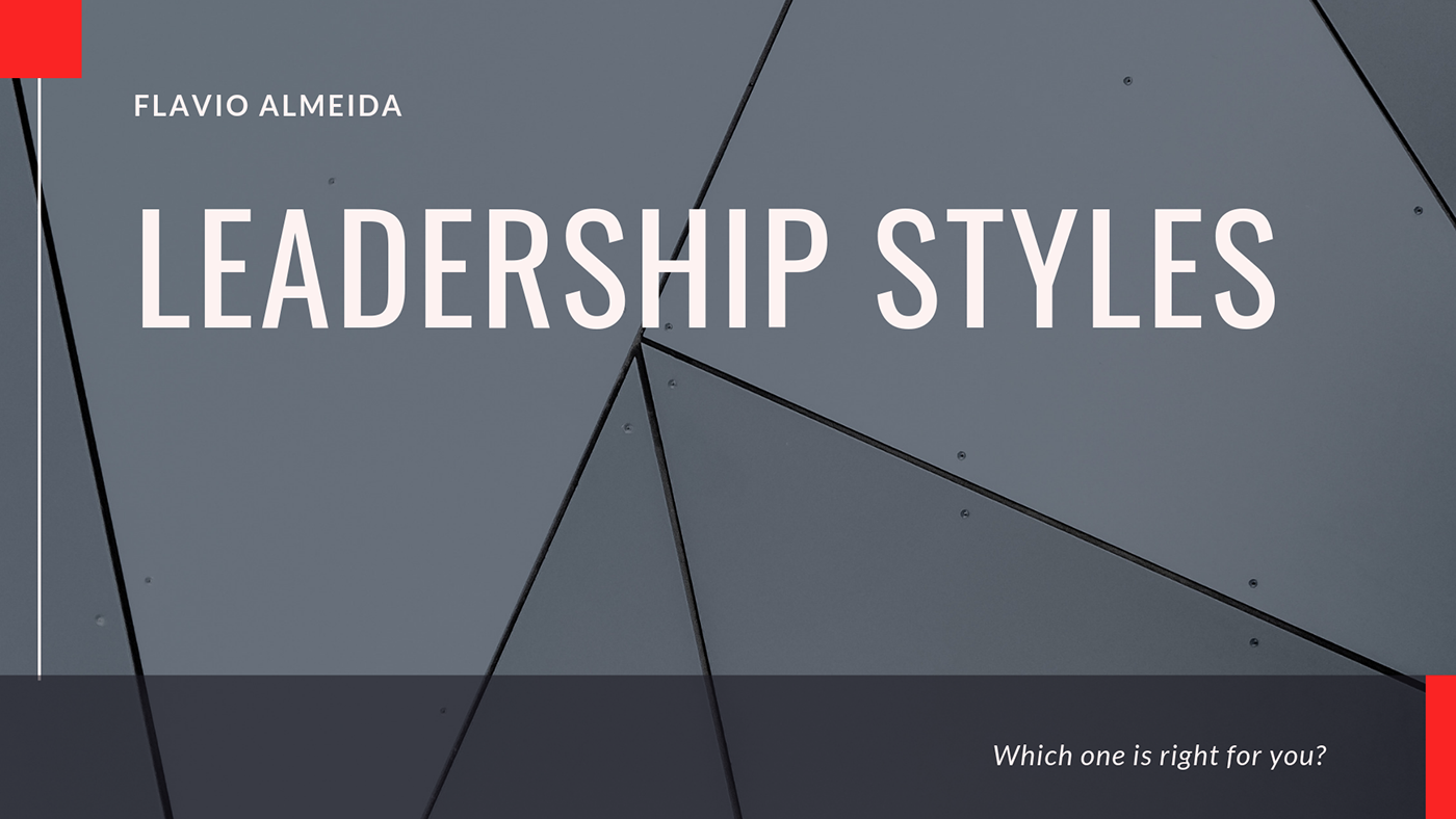 Flavio Almeida Leadership Leadership Styles leaders business