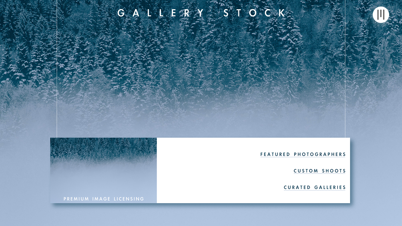 branding  Gallery Stock UI/UX adobexd Web Design 