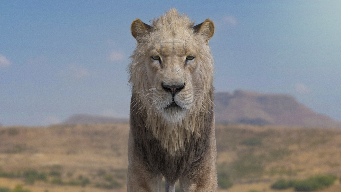 animals lion african Maya Fur vfx muscles animation  X-Gen