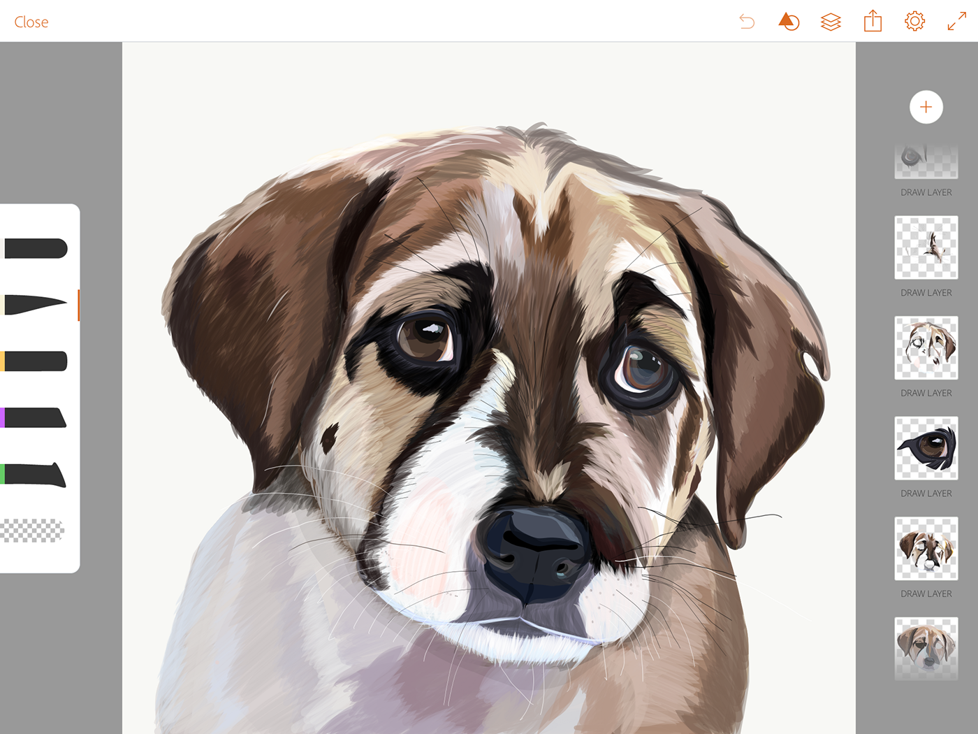 dog puppy adobe draw ILLUSTRATION  Digital Art  Digital Drawing animal Pet olbap olbap design