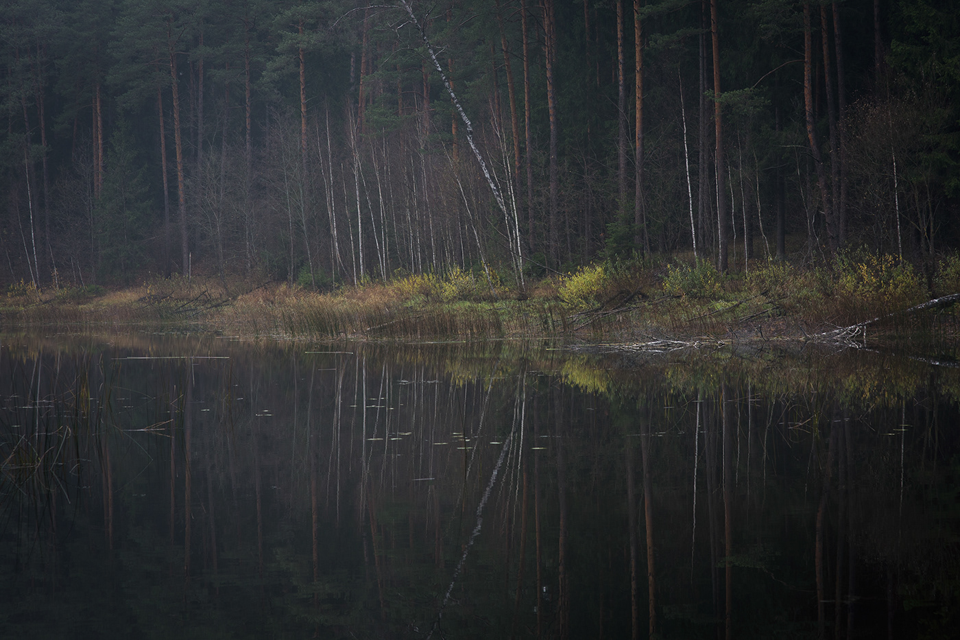 dark landscape darkness lietuva lithuania Mindaugas Buivydas Nature Photography 