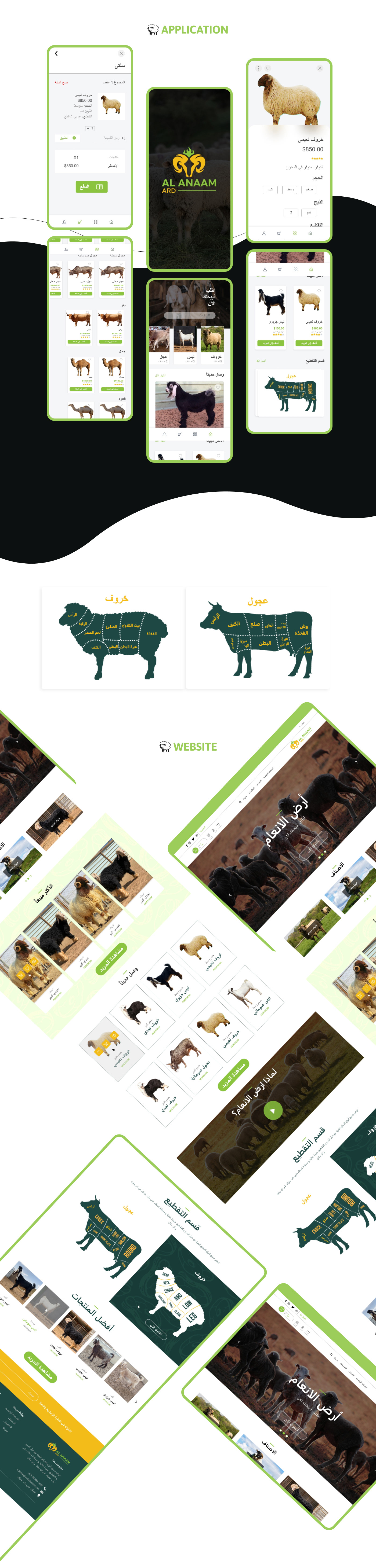 Website Web Design  app design application UI/UX design E COMMERCE Livestock