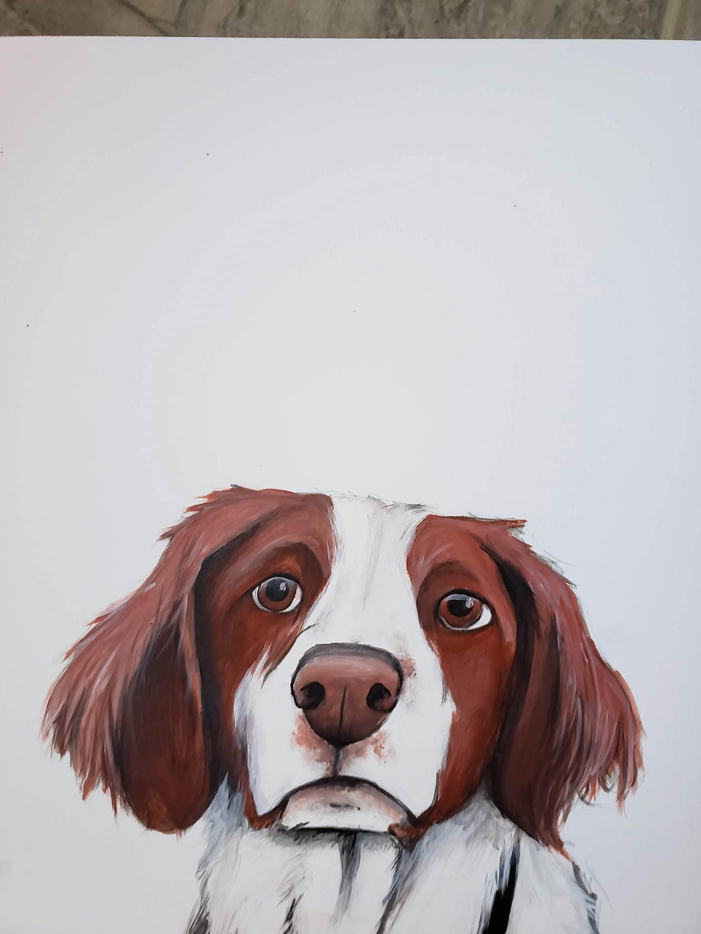 dog Pet portrait Pet Portrait acrylic custom made