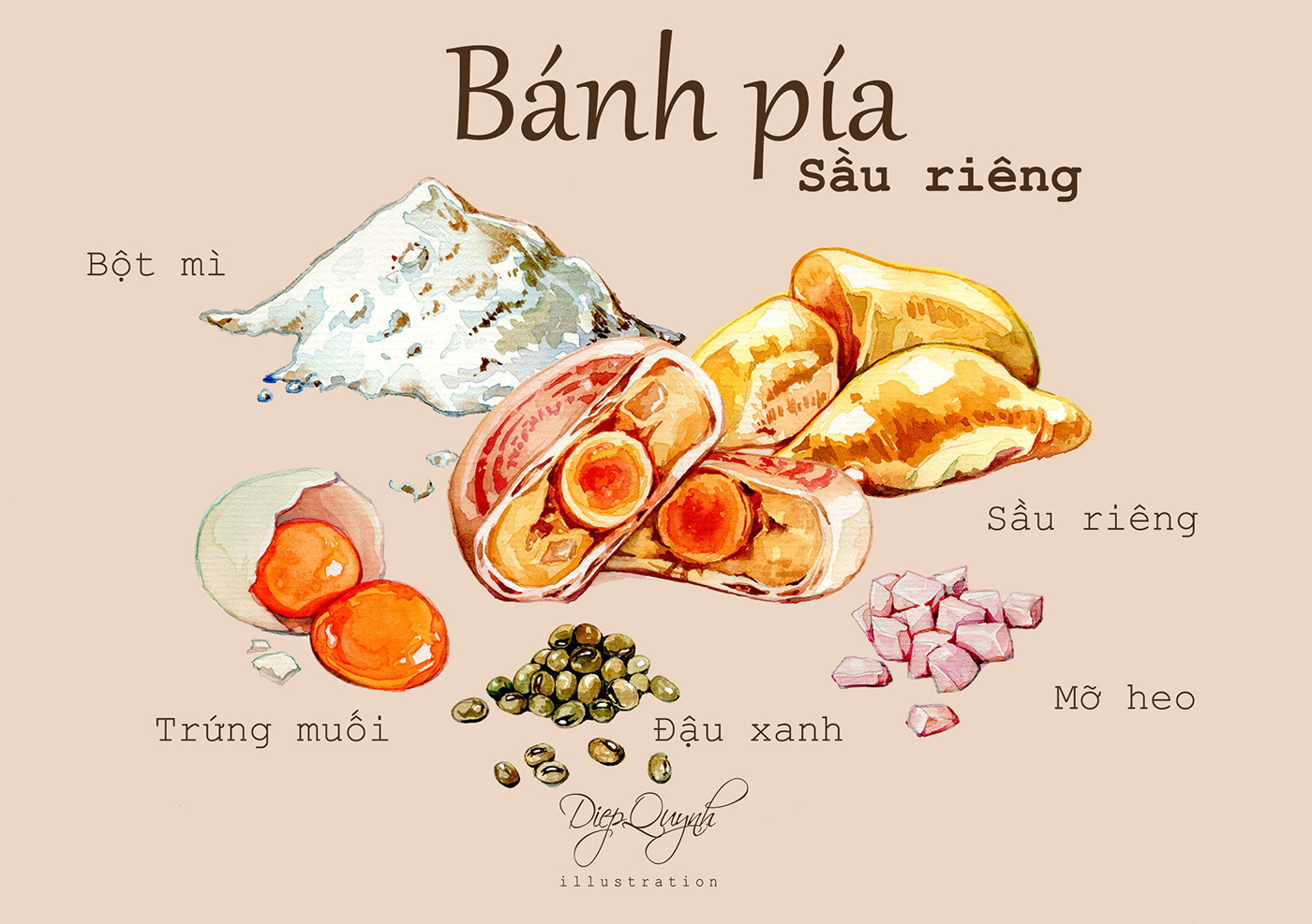 banhpia mooncake Teochew ILLUSTRATION  Food  cake sweet Durian