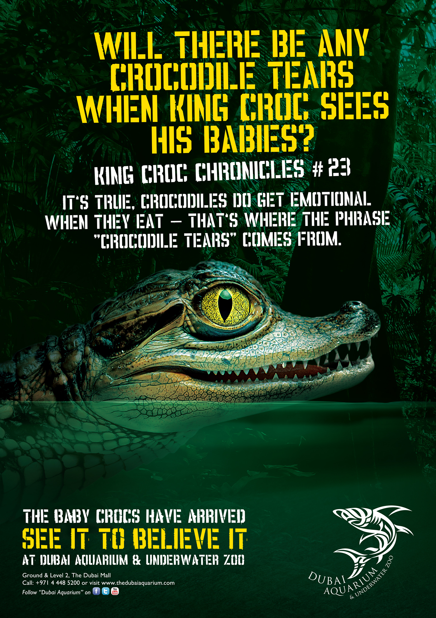Dubai aquarium Baby crocs little crocs duaa Abzeed doart forest crocodile Emaar dubai