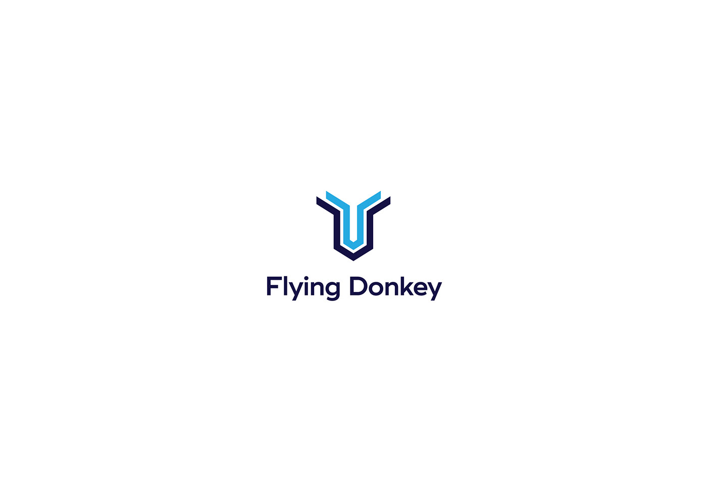 branding  logo Logo Design brand identity Corporate Identity donkey Fly Software Logo graphic design  logofolio