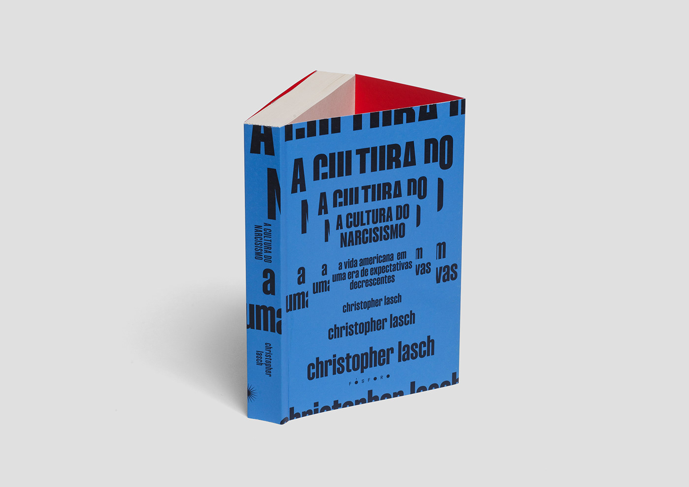 bookcoverdesign book cover graphic design  editorial design  editorial book typographic lettering vector