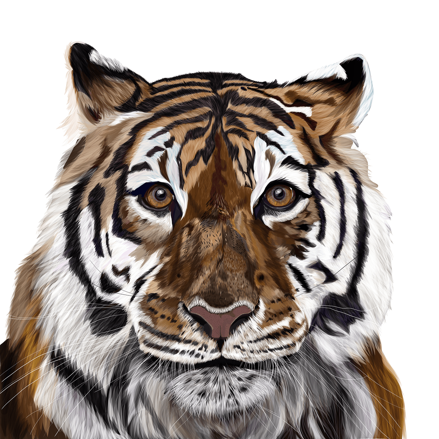 Digital Drawing ILLUSTRATION  jungle animals olbap olbapdesign tiger tigre vector wild animal