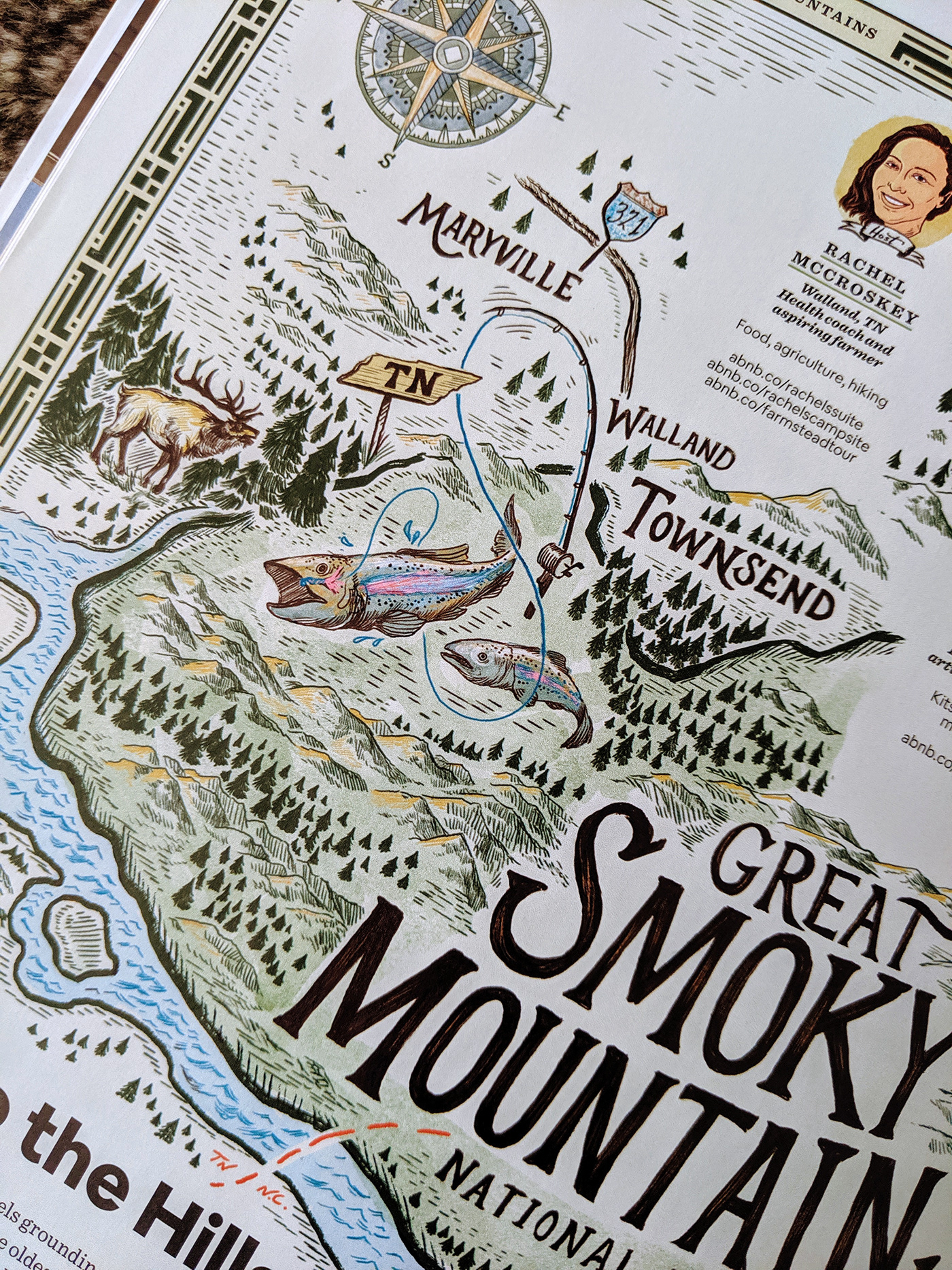 Smoky Mountains National Park illustrated map Infomap wildlife derik hobbs nature illustrator bird watching smokies Black Bear