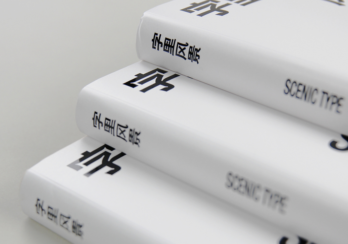 book branding  cover Layout logo logofolio Logotype print text 字体设计