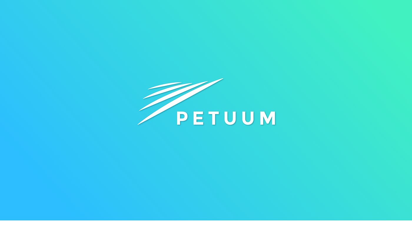 MachineLearning Platform petuum Rhythum Technology