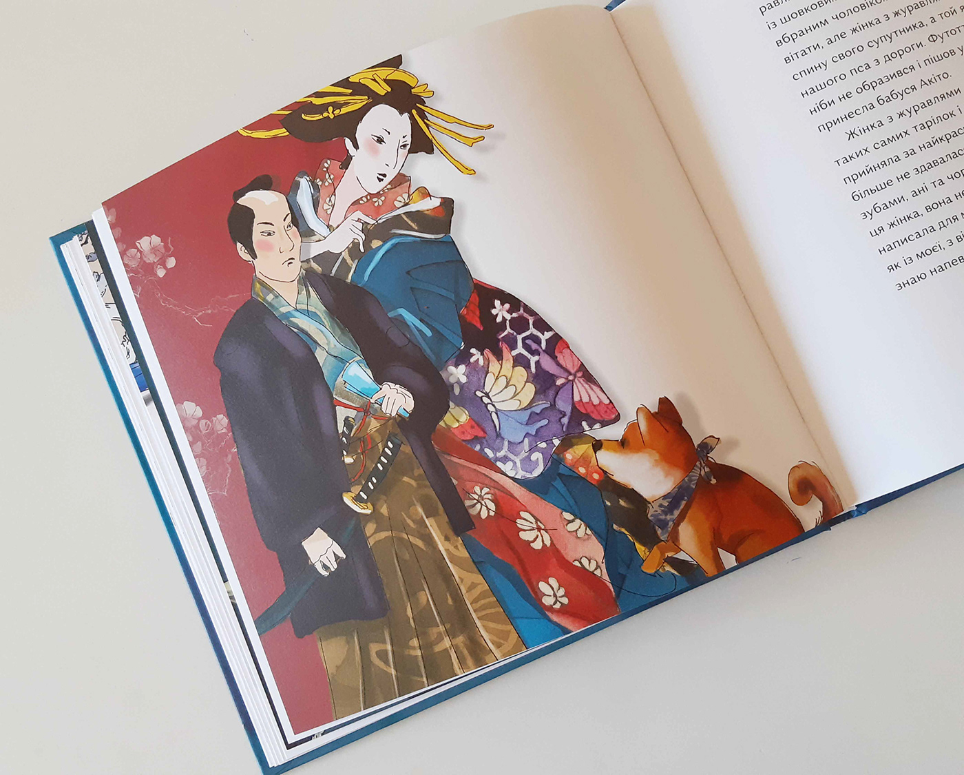 beauty book design Character Character design  digital illustration editorial ILLUSTRATION  japan japanese portrait