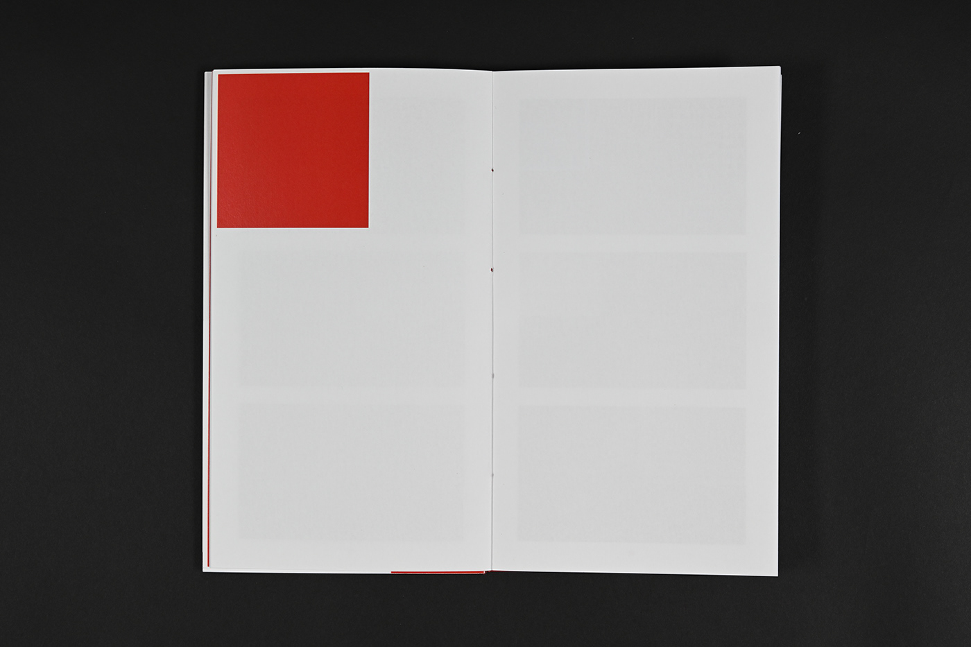 Bookdesign flags graphicdesign handmade politics publication red rohingya