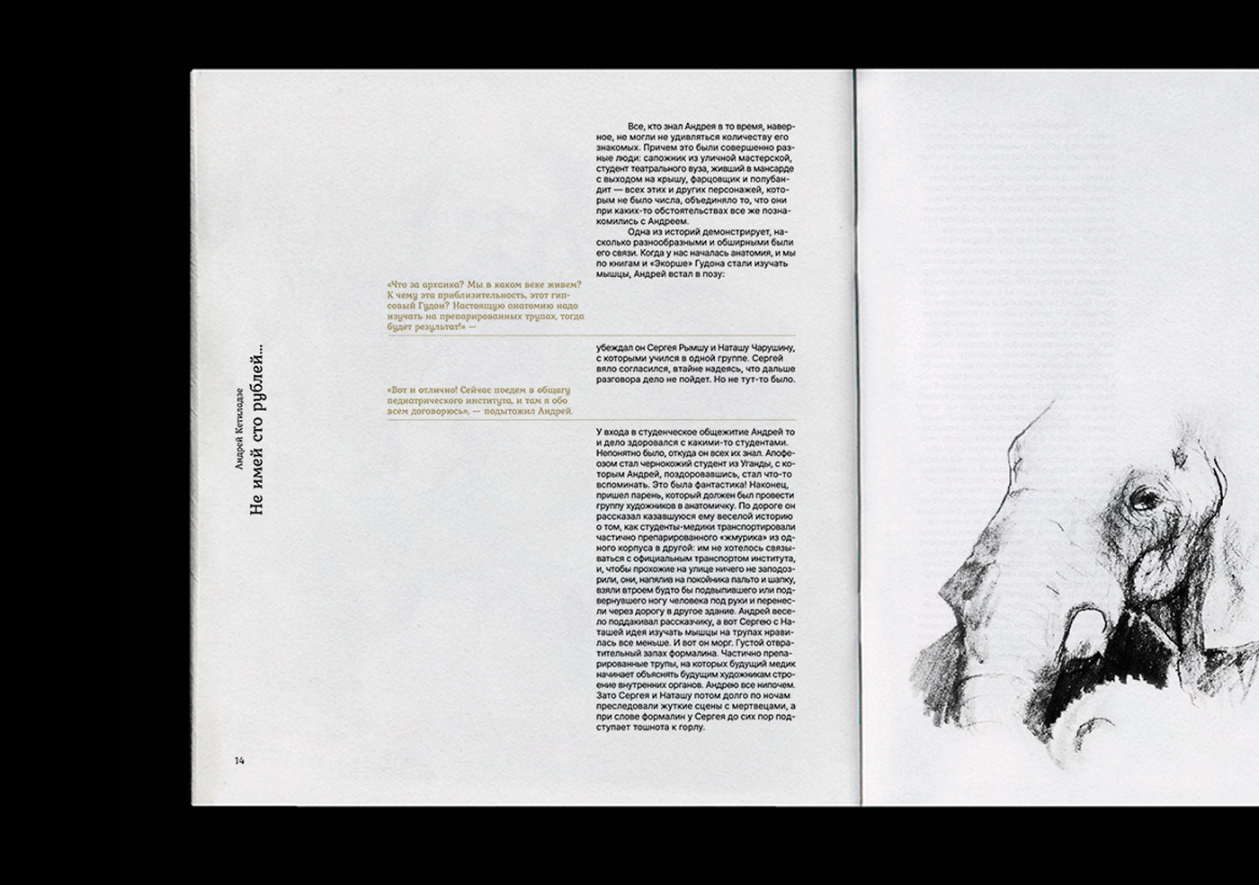 книга типографика typography   Graphic Designer design book арт