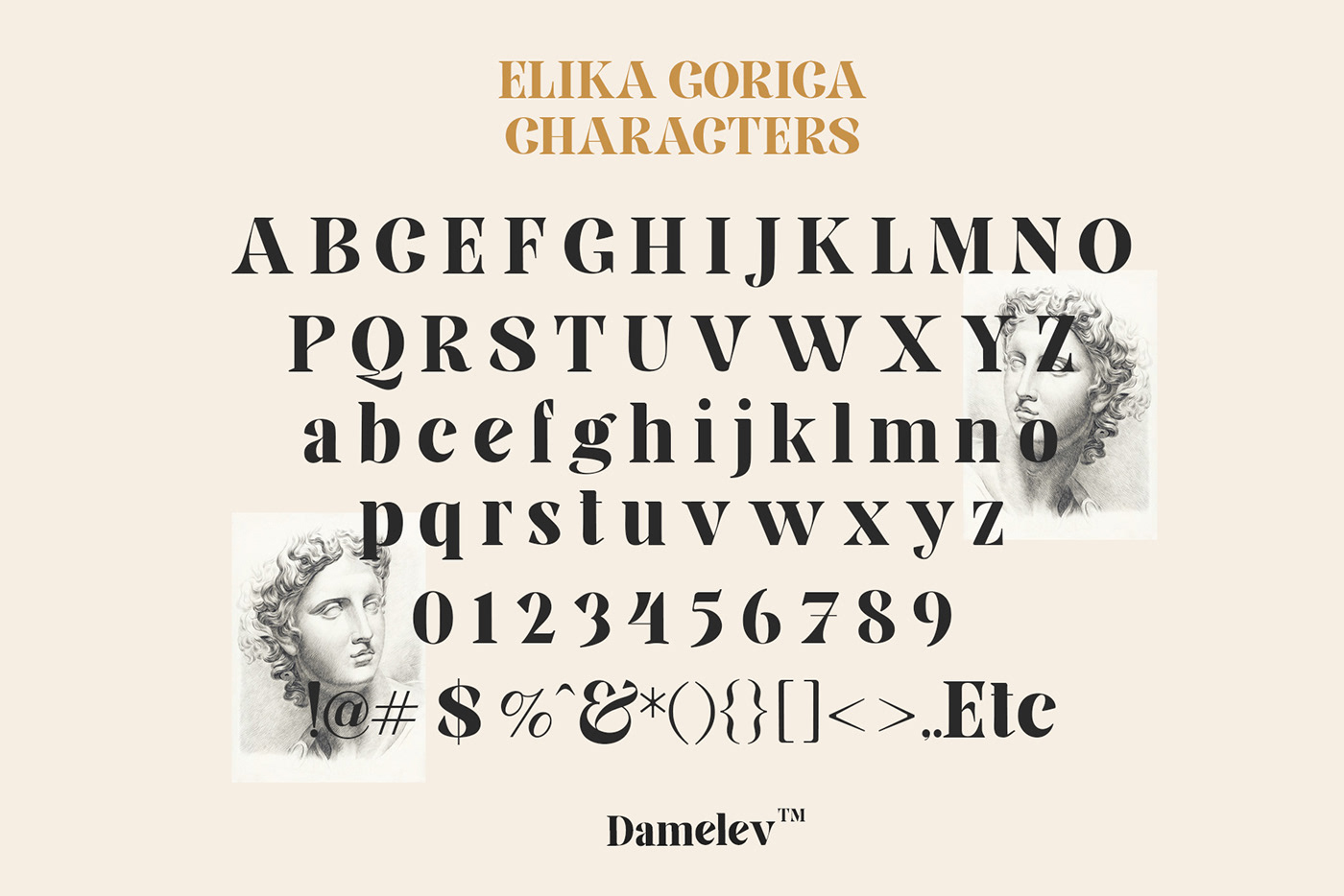 display font font sans serif font serif type design Typeface typography  