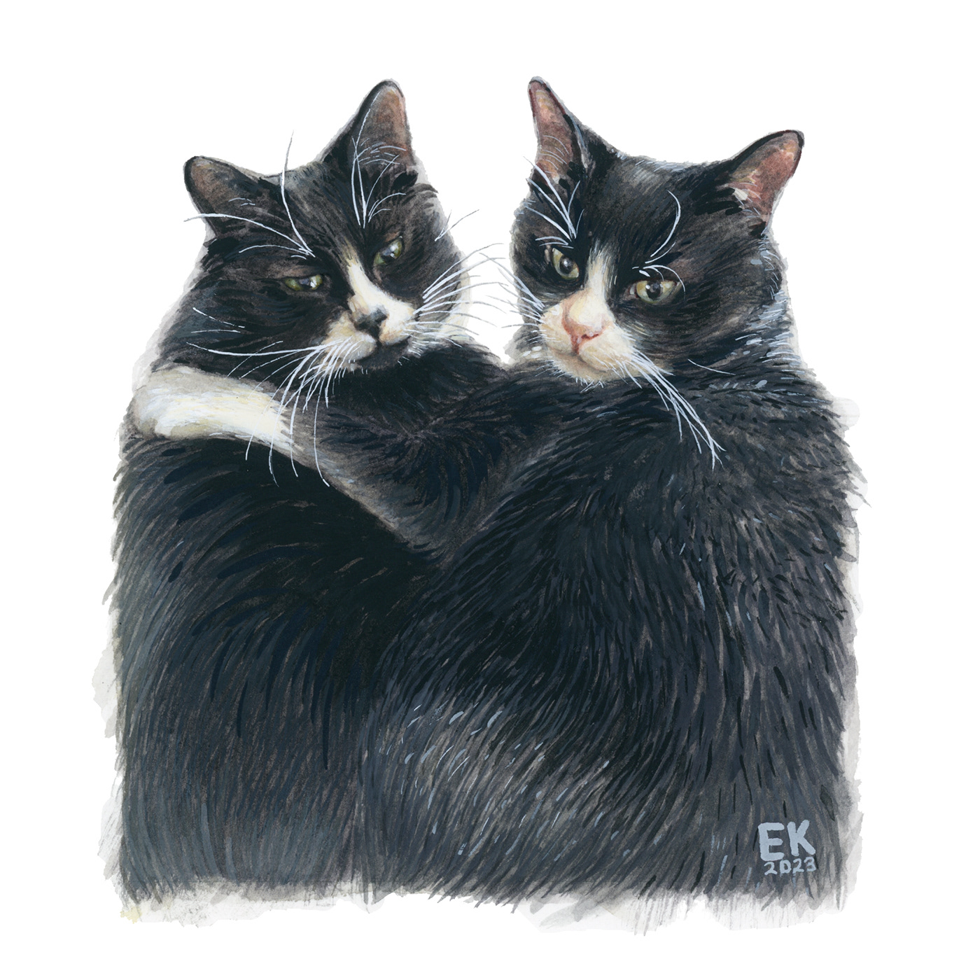 watercolor sketch painting   Cat petportrait black animal portrait