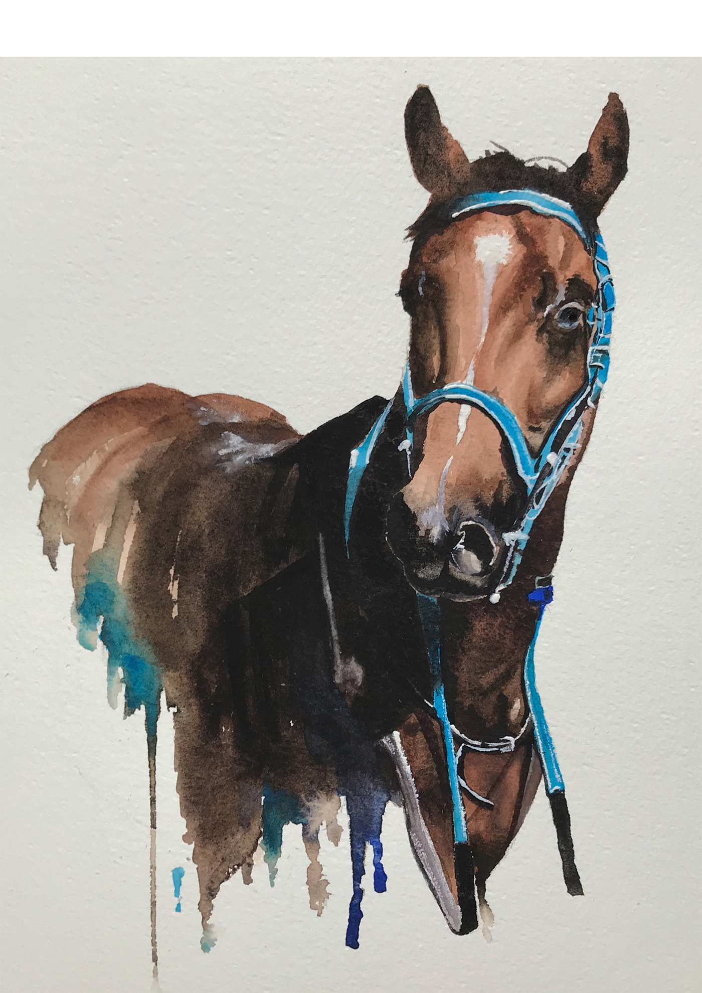 arabian Drawing  horse horses jockey Mustang paint painting   Racing watercolor