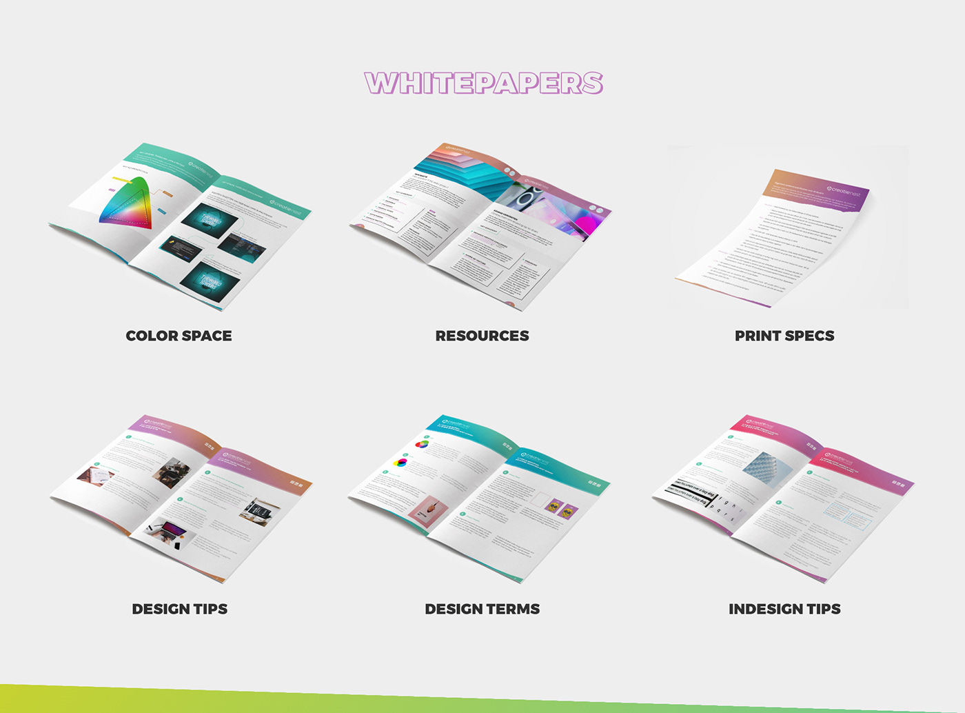 brand identity branding  brochure business card colorful Corporate Identity digital graphic design  identity Logo Design