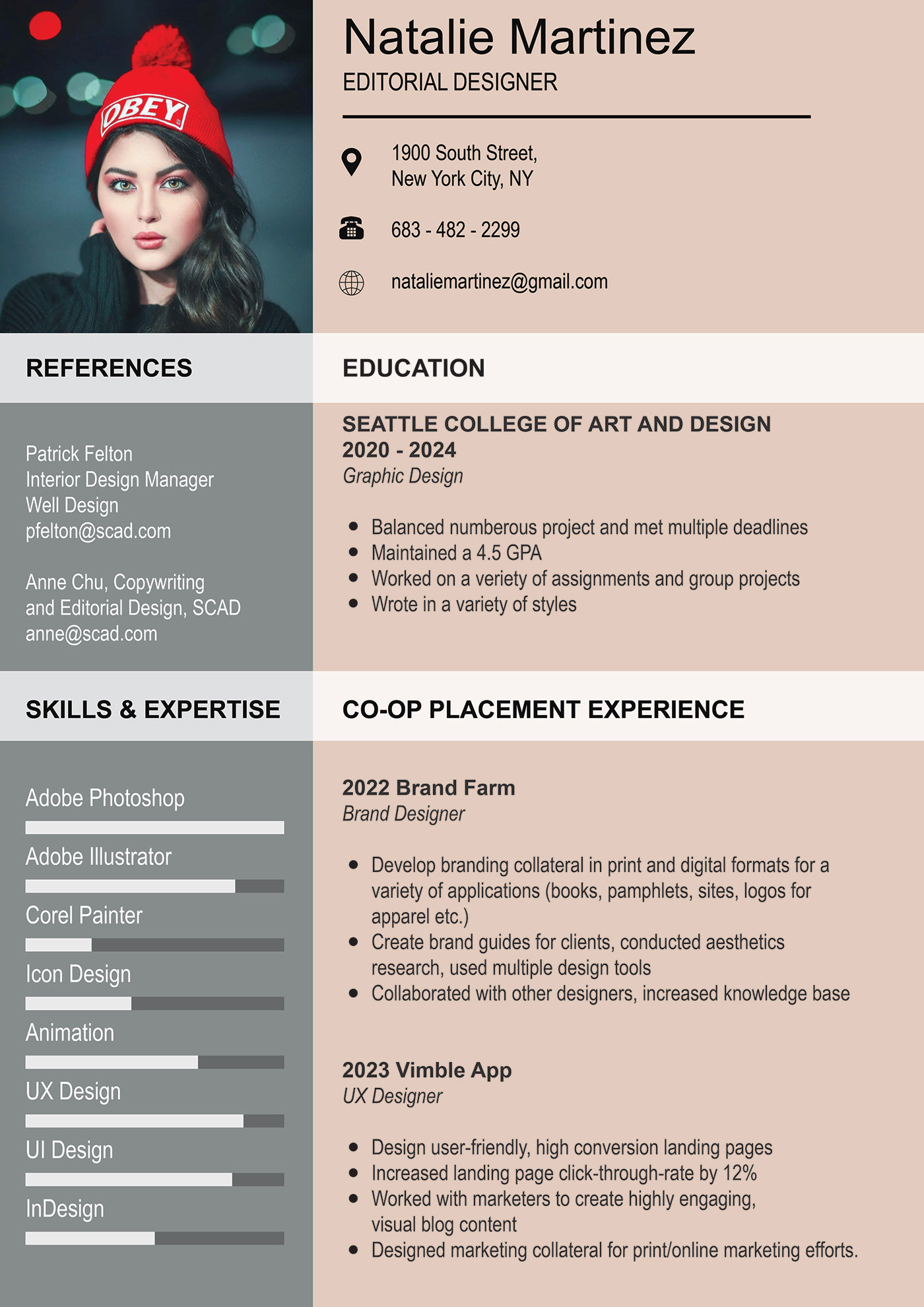 text adobe illustrator digital illustration vector resume design CV template PROFESSIONAL RESUME creative modern