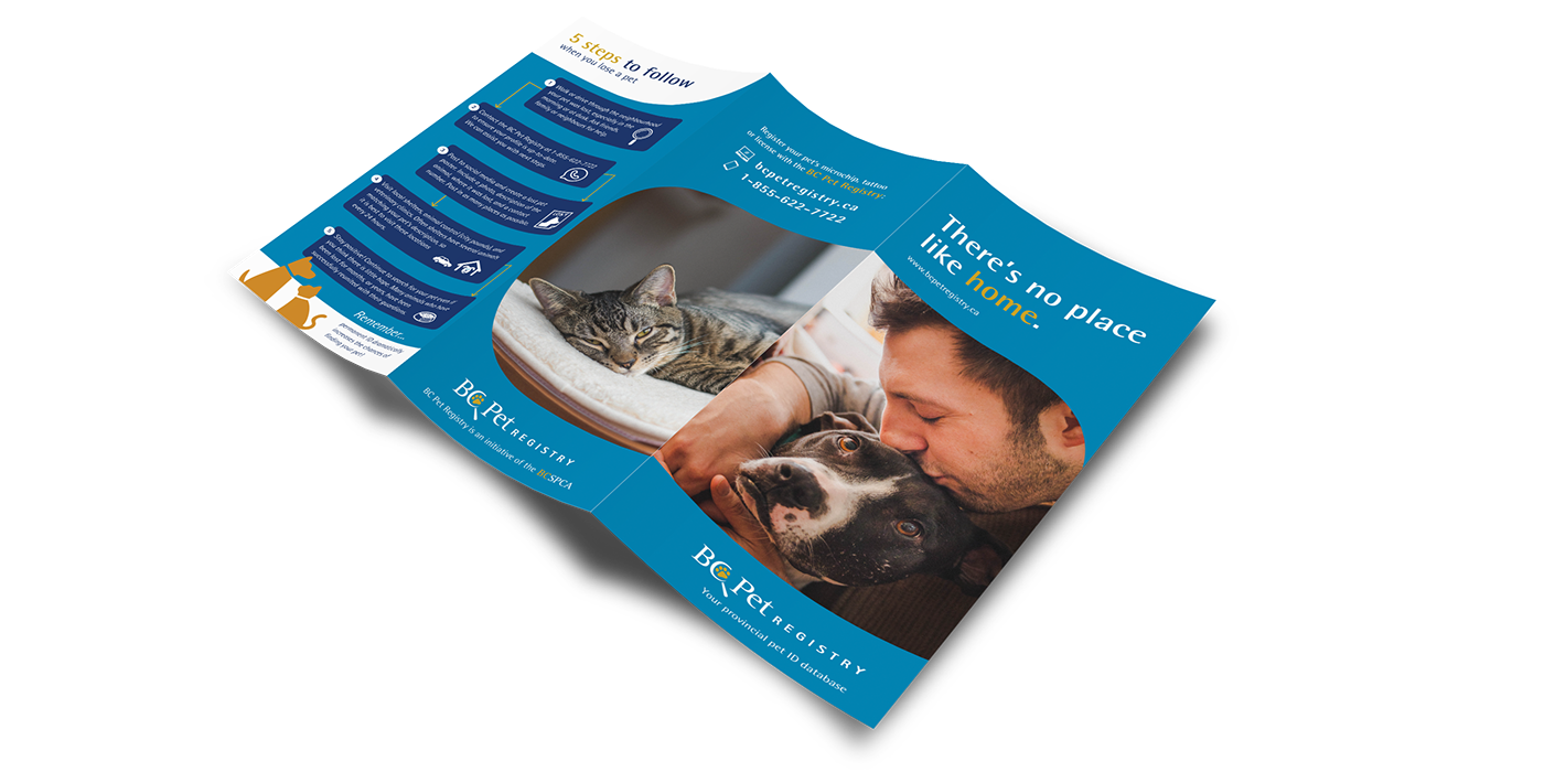 poster brochure tri-fold Photography  stock photography pets cats dogs microchip Packaging