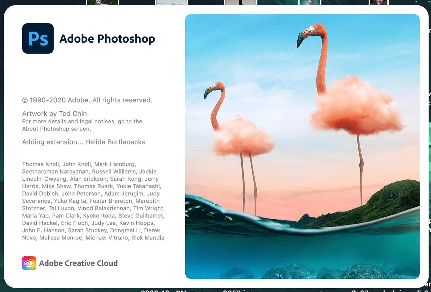 cover fantasy flamingo Flamingo Cloud photosho Photoshop 2021 surreal TedsLittleDream