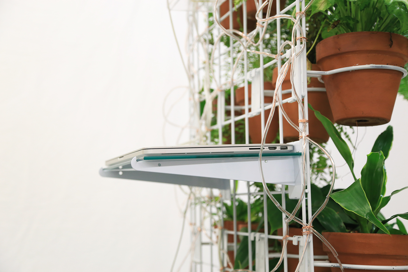 plants installation sound interactive