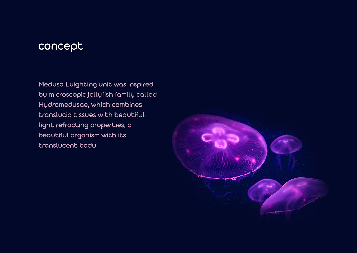 exterior feature jellyfish Landscape led light lighting organic parametric