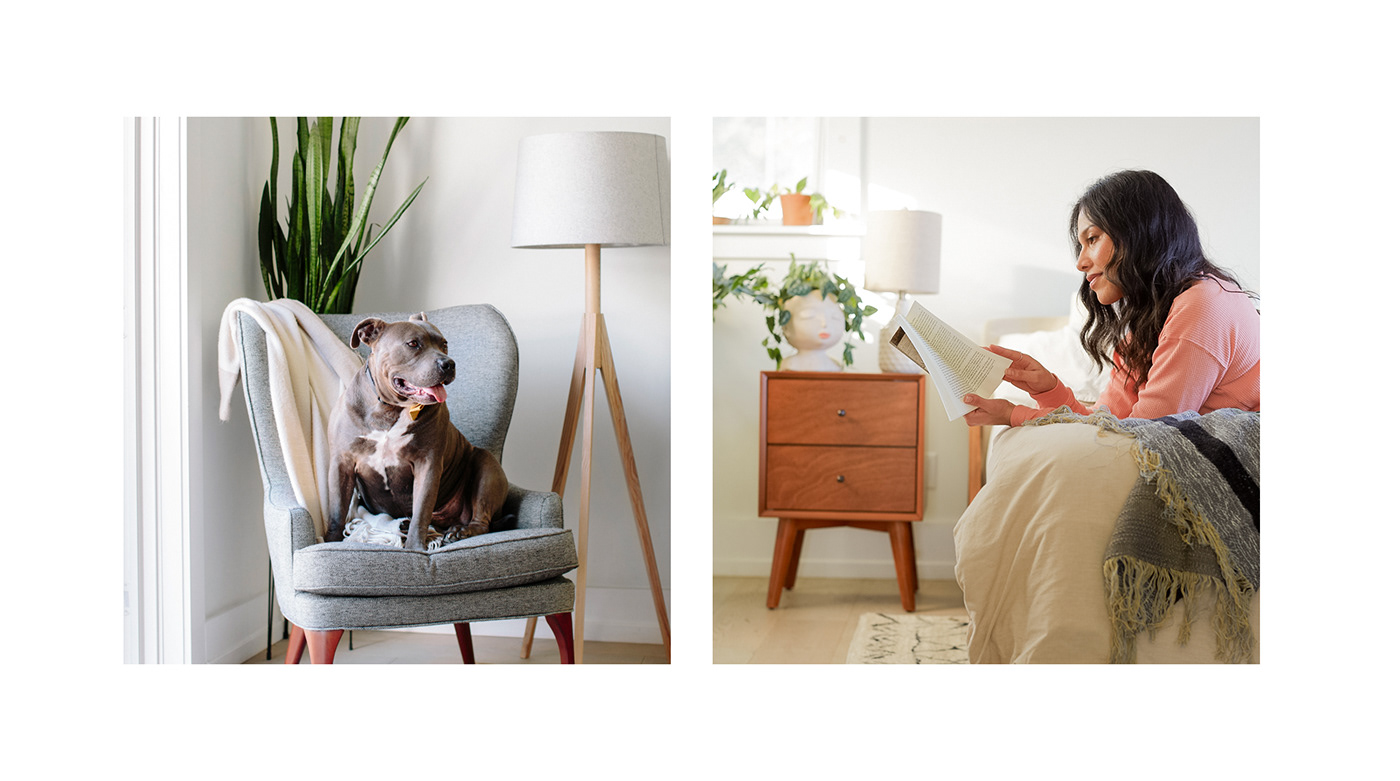 branding  design furniture home interiors Photography  Web Design  direct to consumer millennial