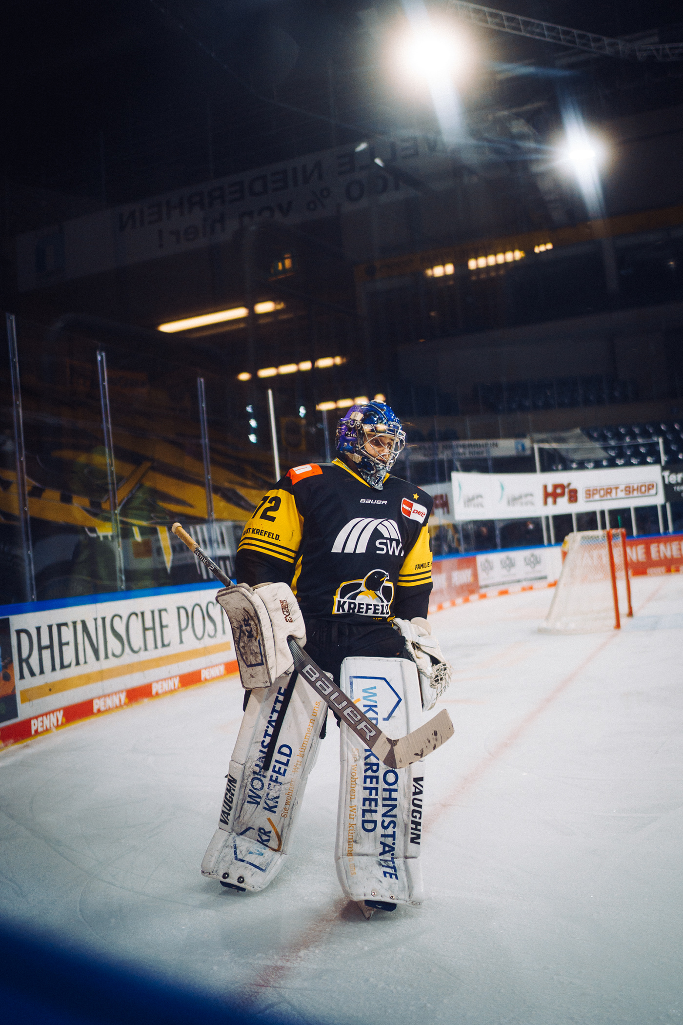 Eishockey Icehockey Kölner Haie krefeld pinguine reportage sport sportfotografie sportlerbegleitung sports Wintersport