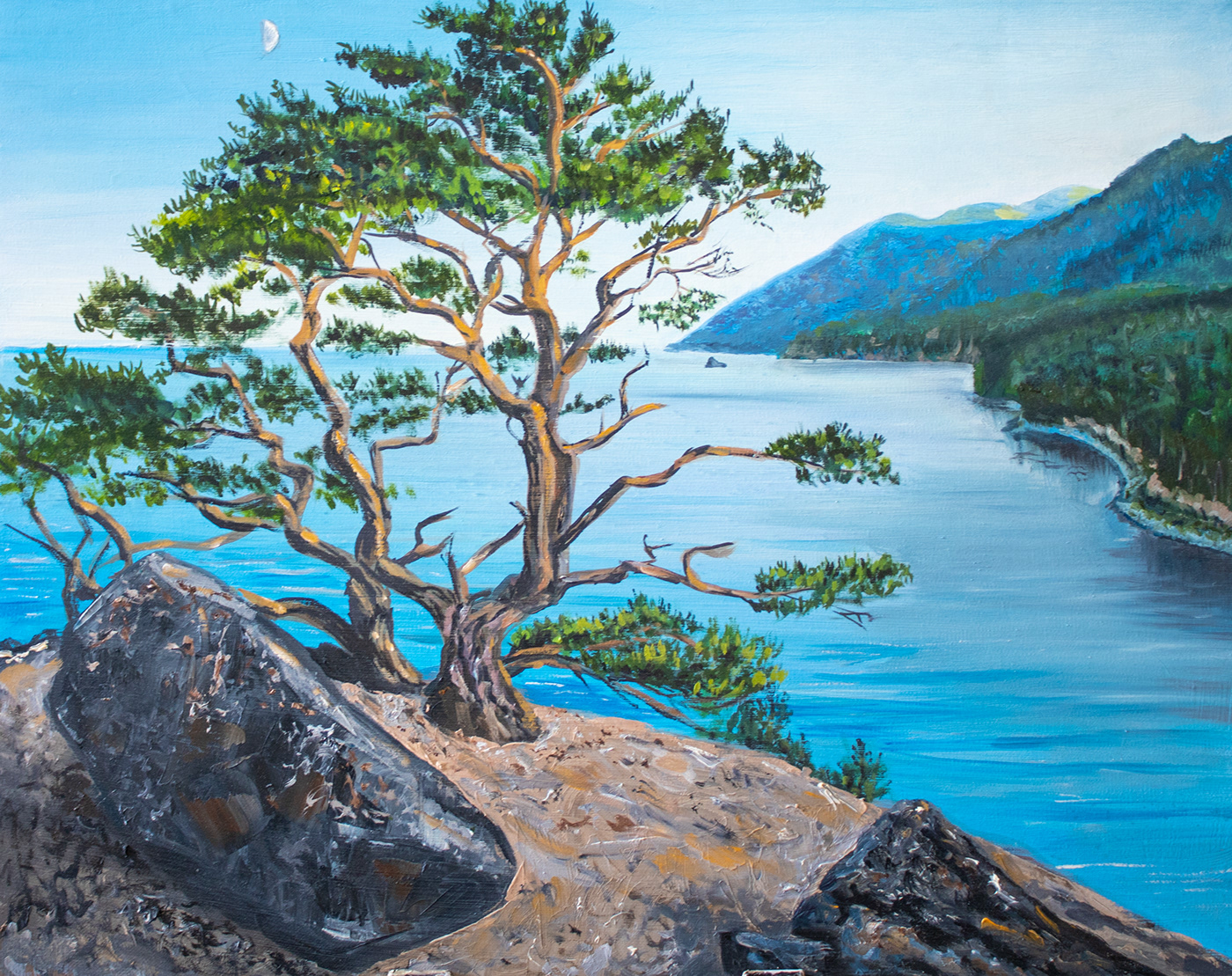 art deco baikal blue canvas painting crag oil painting landscape rock sea Tree  water